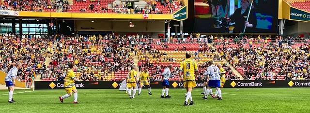 但樊振东的 但樊振东的