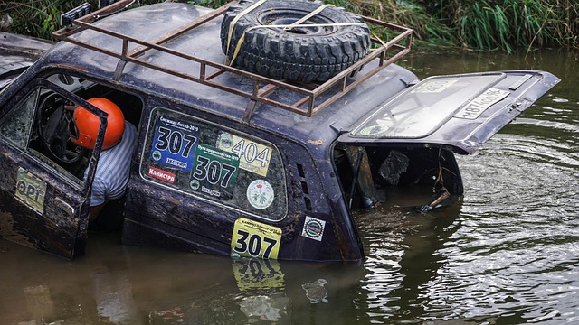 的球迷而言 的球迷而言