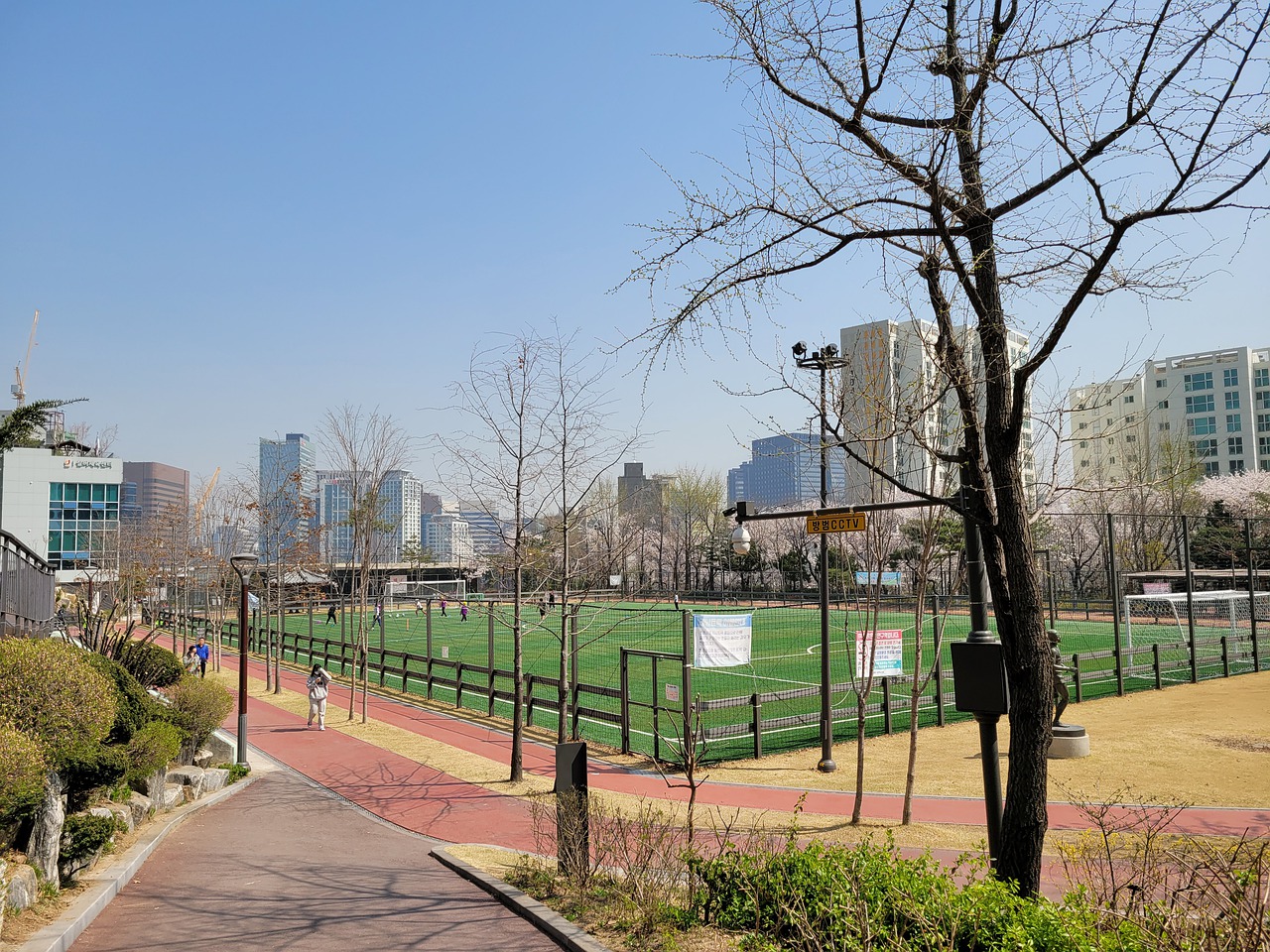 强的意志 强的意志