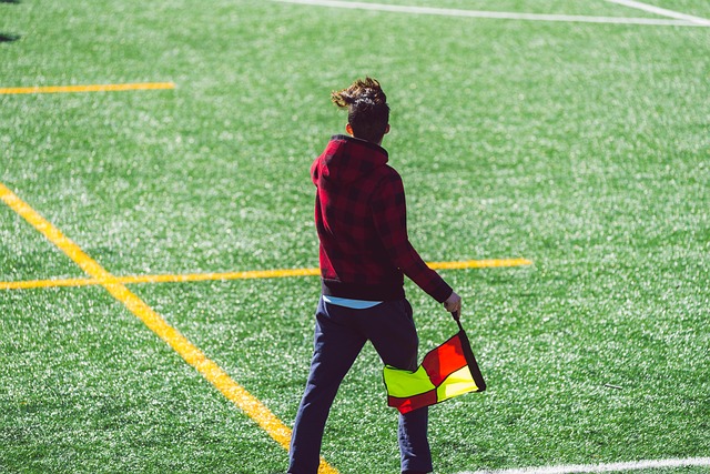 需要的不仅 需要的不仅